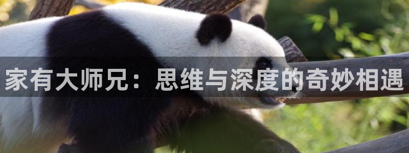 虫虫漫画弹窗：家有大师兄：思维与深度的奇妙相遇