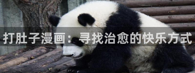虫虫漫画成人：打肚子漫画：寻找治愈的快乐方式